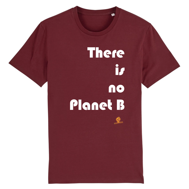 Cadeau anniversaire : T-Shirt Premium - There is no Planet B - Coton Bio - 12 Coloris - Engagé - Cadeau Personnalisable - Cadeaux-Positifs.com -XS-Bordeaux-