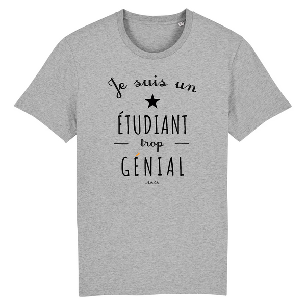 T-Shirt - Je suis un Étudiant trop Génial - Coton Bio - Cadeau Original - Cadeau Personnalisable - Cadeaux-Positifs.com -XS-Gris-