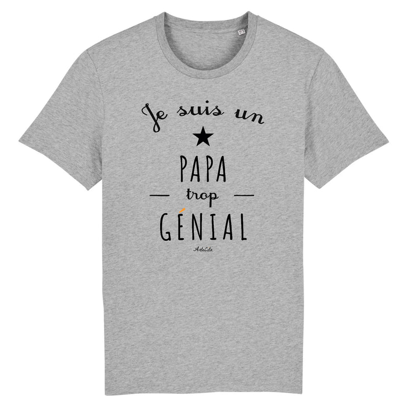 Cadeau anniversaire : T-Shirt - Un Papa trop Génial - Coton Bio - Cadeau Original - Cadeau Personnalisable - Cadeaux-Positifs.com -XS-Gris-