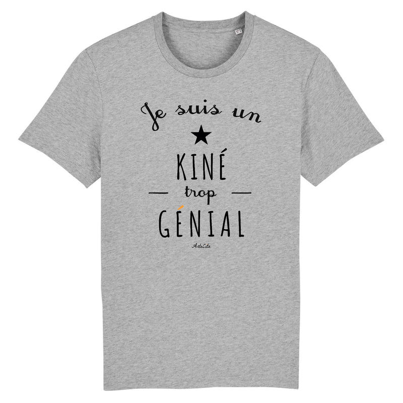 Cadeau anniversaire : T-Shirt - Un Kiné trop Génial - Coton Bio - Cadeau Original - Cadeau Personnalisable - Cadeaux-Positifs.com -XS-Gris-