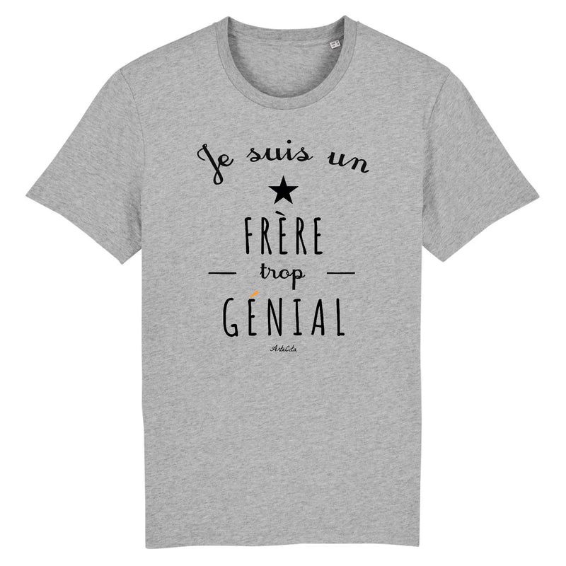 Cadeau anniversaire : T-Shirt - Un Frère trop Génial - Coton Bio - Cadeau Original - Cadeau Personnalisable - Cadeaux-Positifs.com -XS-Gris-