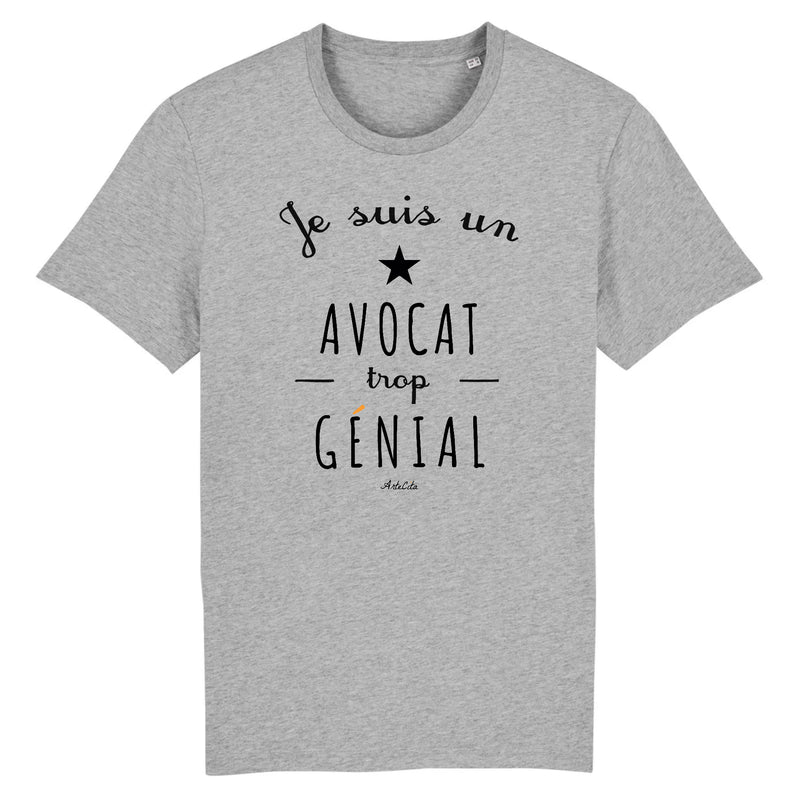 Cadeau anniversaire : T-Shirt - Un Avocat trop Génial - Coton Bio - Cadeau Original - Cadeau Personnalisable - Cadeaux-Positifs.com -XS-Gris-