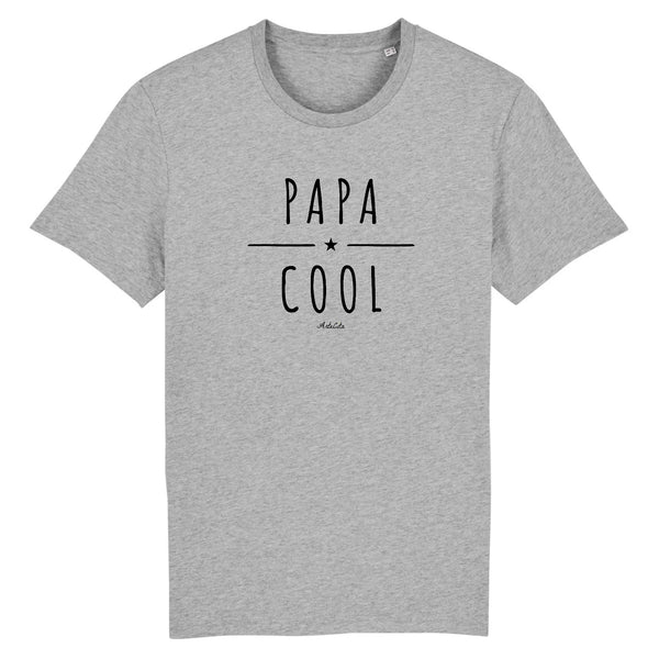 T-Shirt - Papa Cool - Coton Bio - 2 Coloris - Cadeau Original - Cadeau Personnalisable - Cadeaux-Positifs.com -XS-Gris-